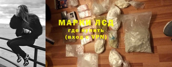 дживик Няндома