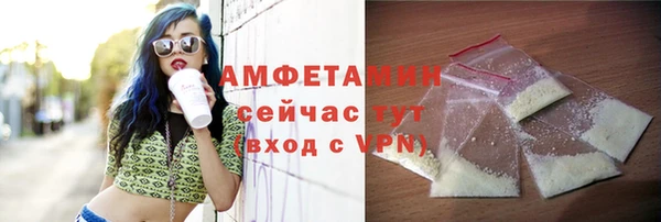 дживик Няндома