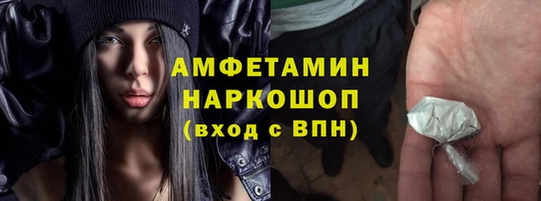 дживик Няндома