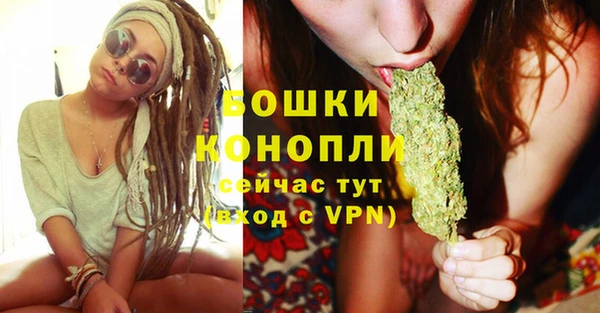 каннабис Новозыбков