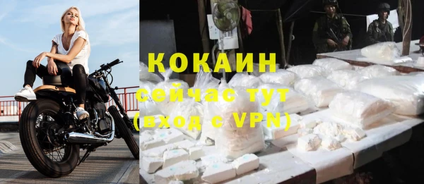 каннабис Новозыбков