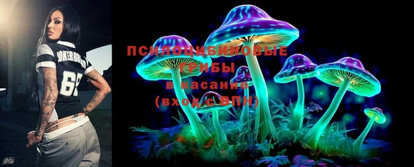 дживик Няндома