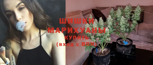 каннабис Новозыбков