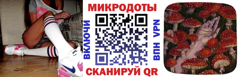 где купить   Покров  Галлюциногенные грибы GOLDEN TEACHER 